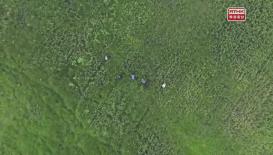 第十集：河洛記 沃土之上(上)