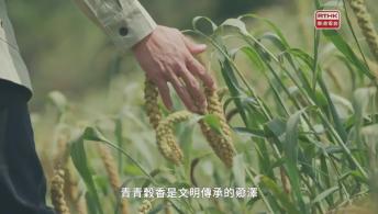 第十一集：河洛記 沃土之上(下)