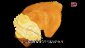 31 看世界 - 頂尖科學