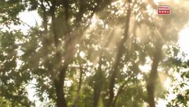 31 看世界 - 頂尖科學