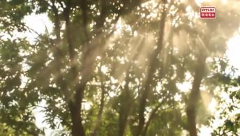 第四集：綠色能源革命