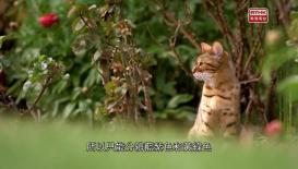 31 看世界 - 頂尖科學