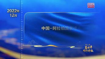 第七集：高水準對外開放