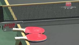 2025年成都國際乒聯混合團體世界盃