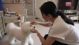 Hong Kong Connection 