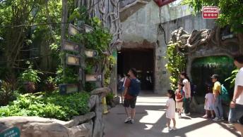 Ocean Park's Vitality