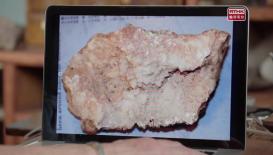 史前系列：跨越侏羅紀