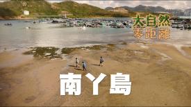 南丫島