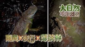 大自然零距離 2