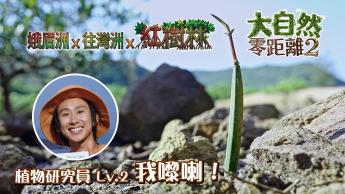 第三集 娥眉洲 x 往灣洲 x 紅樹林