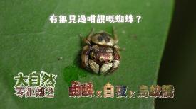 大自然零距離 2