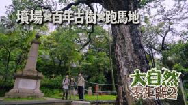 大自然零距離 2