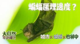 大自然零距離 2