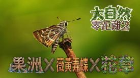 大自然零距離 2