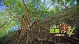 大自然逐樣解4