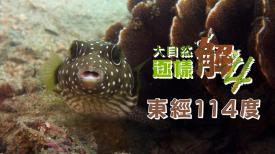 大自然逐樣解4