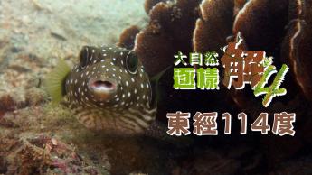 第二十集 東經114度