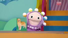 第一百八十九集 - Okie Bobie尋找失物公司