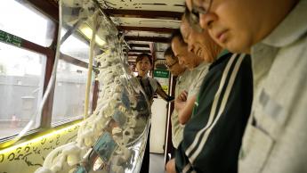 香港藝術發展局「DING LAB」, 保持在線@大館 & 現場表演：唱作人Julie May （茱莉 • 美）