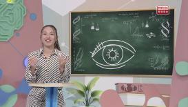 醫生與你