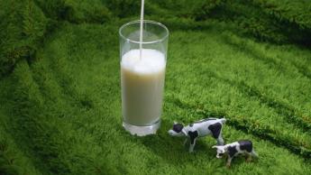 #8 補鈣良品 - 牛奶