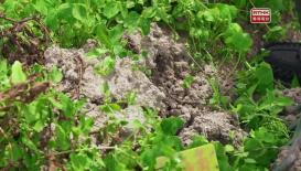 醫生與你 - 講飲講食講健康 II