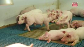 Doctor And You – Eat Well Live Well