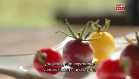 Doctor And You – Eat Well Live Well