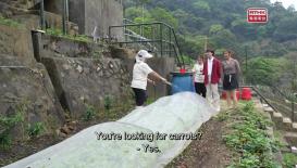 #8  Why Is Carrot So Good?