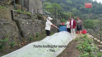 #8  Why Is Carrot So Good?