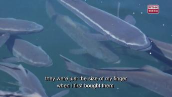 #12 Delights in Fish