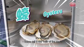 #15   A Big Oyster Meal