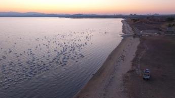 Episode 2: Pristine Seas and Shores