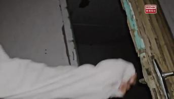 第五集：這裏真沒魚：剛果共和國的巨人虎魚（上集）