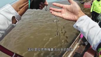第六集：這裏真沒魚：剛果共和國的巨人虎魚（下集）
