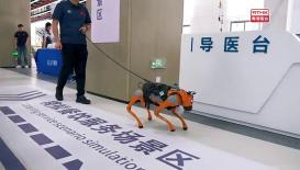 灣區全媒睇 
