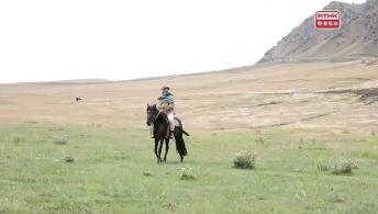 第一千零六十一集