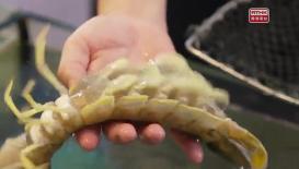 第一千零六十五集