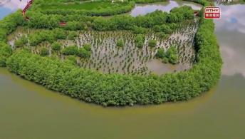 第一千零七十一集