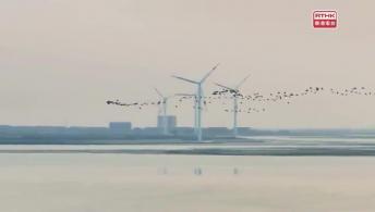 第一千零九十五集