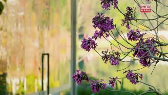 第一千一百零四集