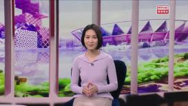 灣區全媒睇 
