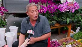 灣區全媒睇 