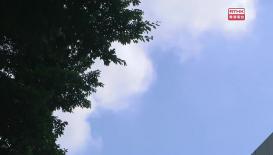灣區全媒睇 