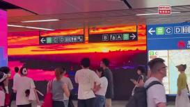 灣區全媒睇 