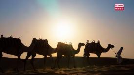 31看世界 - 魅力阿聯酋