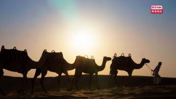 第一集：海灣明珠