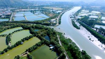 「智慧濕地」 人工智能保育