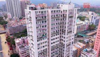 地區治理 少數族裔人士支援服務