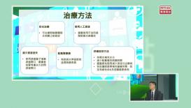 精靈一點